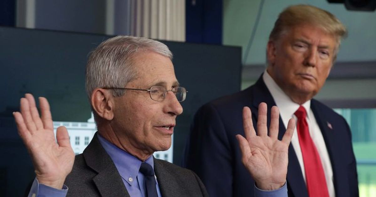 Anthony Fauci lauded for ignoring physicist Erik Nielsen's mail to promote HCQ: 'Trump gambled incorrectly'