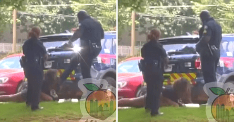 Horrifying video shows Atlanta cop kicking mentally ill woman in head for spitting at him