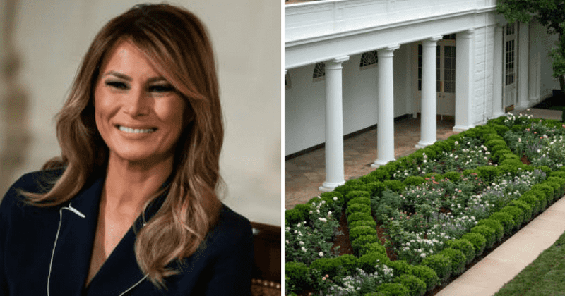 Melania Trump gets strong support amid criticism of Rose Garden renovation: 'Didn't ruin it'