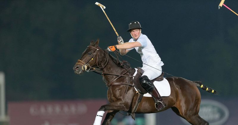 Eco-warrior Prince Harry called 'hypocrite' after using private jet to fly to POLO MATCH
