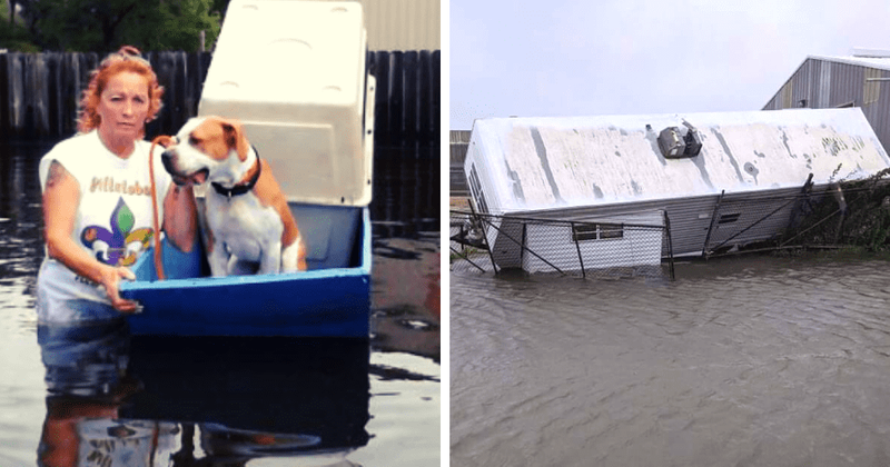 Tia Torres's net worth: Villalobos Rescue Center's funds deplete amid Hurricane Ida