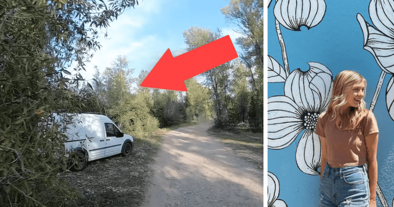 Vlogger family's clip shows van with Florida plates just before Gabby Petito vanished