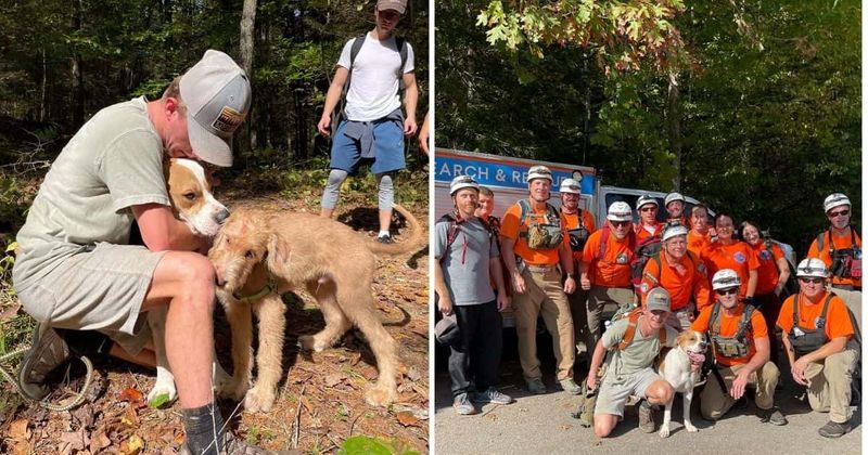 Dog survives after 170-foot fall from cliff in Kentucky, rescuers call it a 'miracle'