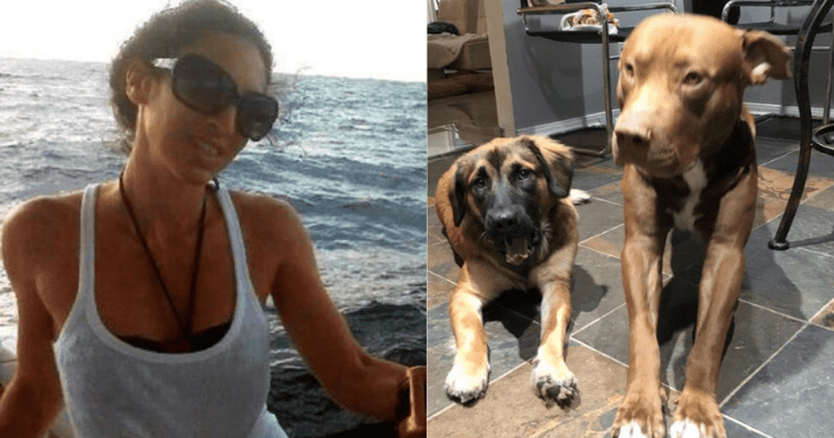 Tiffany L Frangione: Houston woman dies after being mauled by her own dogs