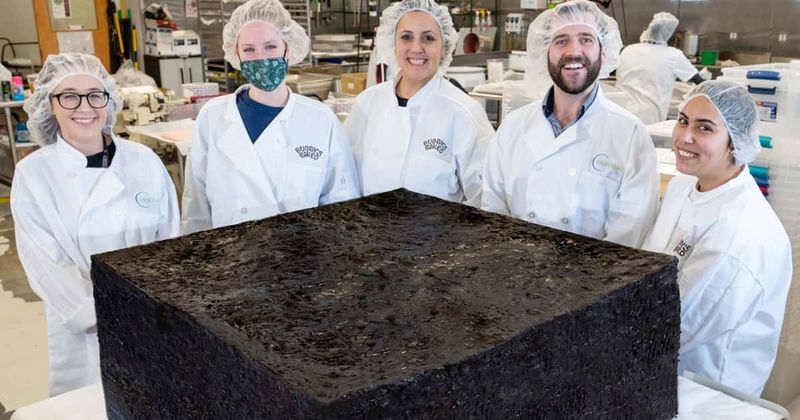 World's largest pot brownie weighing 850 Lbs goes up for sale, here's how you buy it