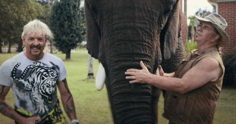 'Tiger King: The Doc Antle Story' Review: Nastier, more disturbing but worth a watch