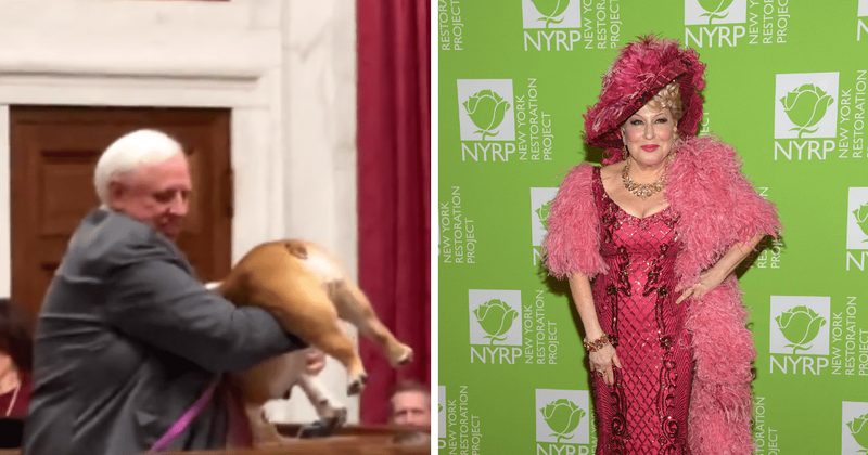 West Virginia Gov Jim Justice slammed for asking Bette Midler to kiss his dog’s ‘heinie’