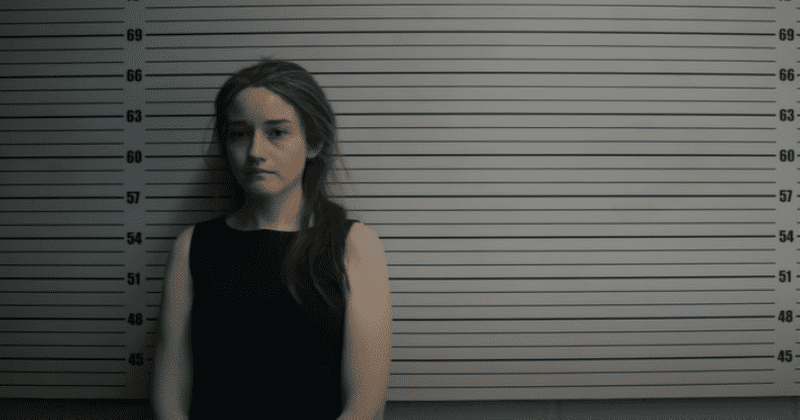 'Inventing Anna': 4 works on fake heiress Anna Sorokin to see before Netflix series