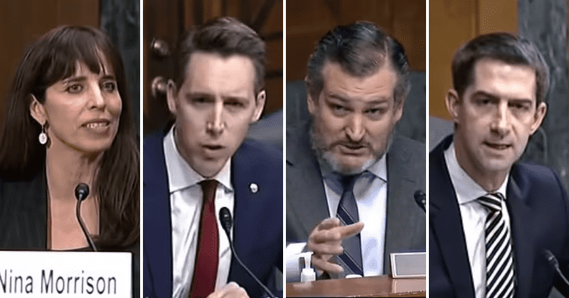 Who is Judge Nina Morrison? Republicans tear into Biden's 'soft-on-crime' nominee