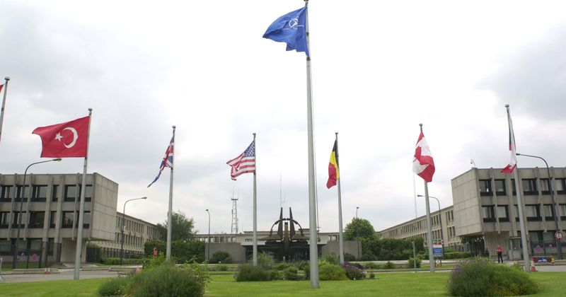 AOC's Democrat Socialists blame US and NATO for Ukraine war, slammed for 'dumb take'