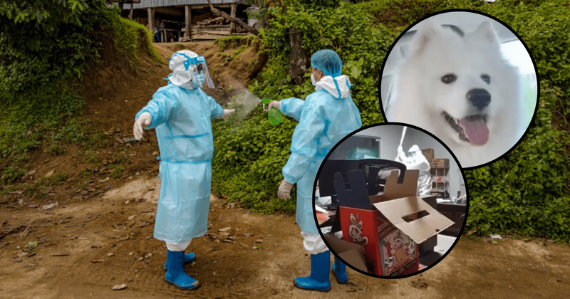 Video: Chinese health workers brutally kill a dog while the owner was in quarantine