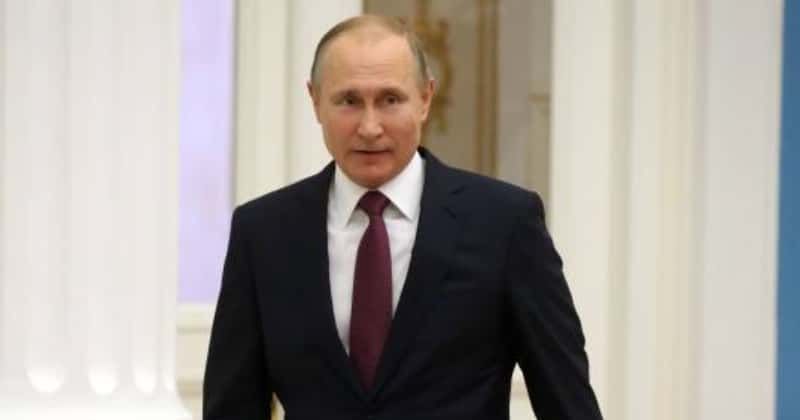 ‘Senseless delirium': Putin's claim of Ukraine using BIRDS to spread diseases debunked