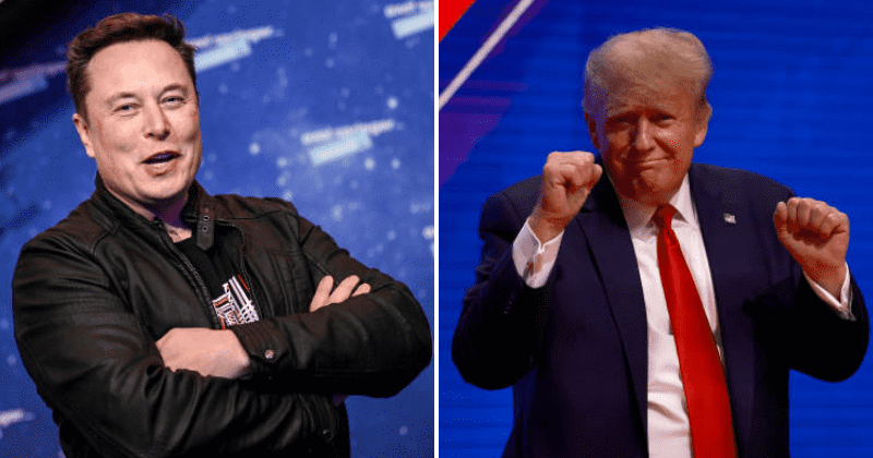 Could Trump tweet again? Supporters ask Elon Musk to revoke ban as Twitter's largest shareholder