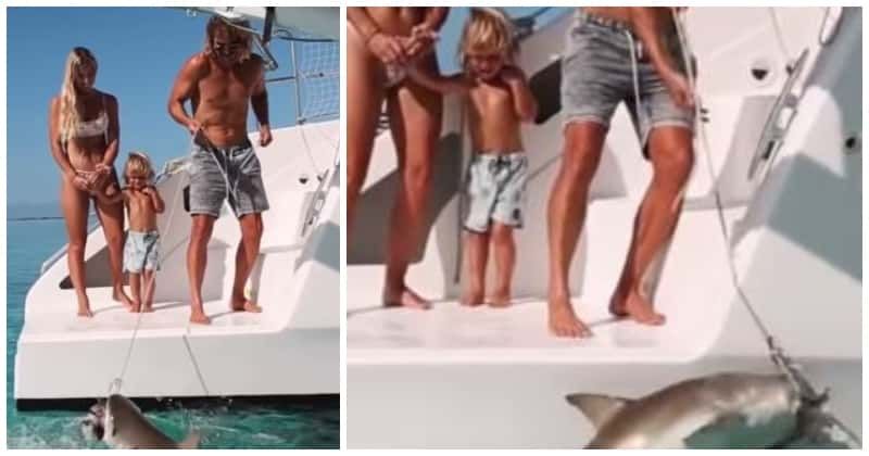 'The clicks aren’t worth it': Couple slammed for 'hand feeding' shark near 2-year-old son!