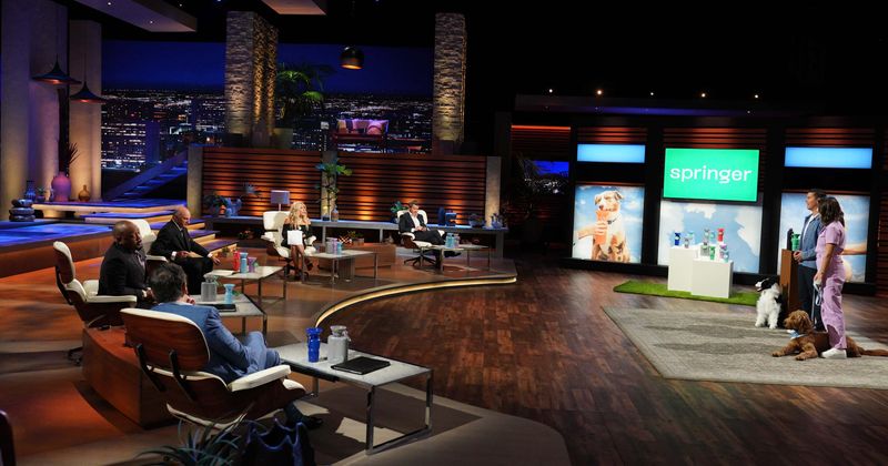 Springer on 'Shark Tank': What is the cost, who are the founders and does the water bottle for dogs really work?