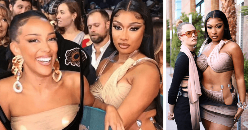 Internet in splits after Megan Thee Stallion CROPS OUT pest Cara Delevingne from Doja Cat pic
