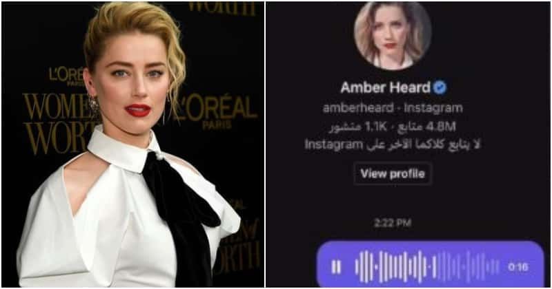 INDECENT PROPOSAL? Saudi man offers to marry Amber Heard after 'all doors close'