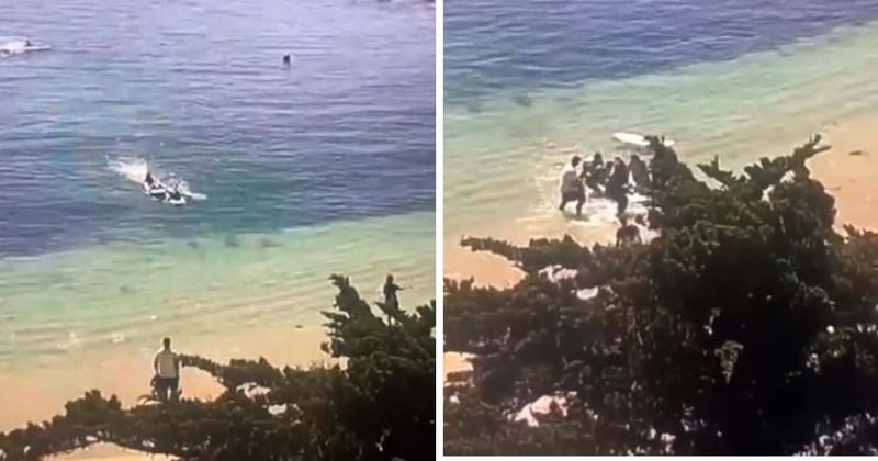 Chilling footage shows mauled surfer struggling back to shore after GREAT WHITE shark attack