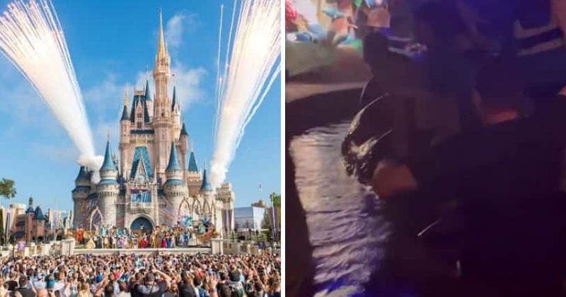 Disney World's 'Splash Mountain' sinks for THIRD time: Guests struggle to escape sinking log
