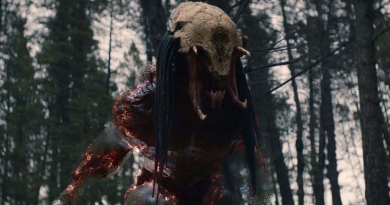 Hulu 'Prey' Ending Explained: The Predator gets an origin story with only a flickering connect to '87 flick