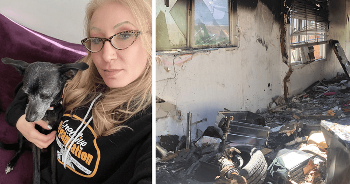 Who is Lynne Mishele? Woman's home DESTROYED in fire after Anne Heche crashed her car into it