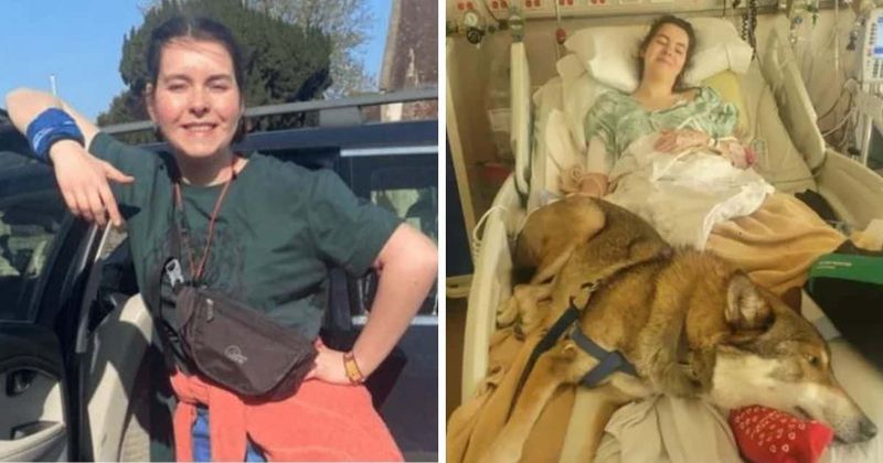 Amelia Dean, 19, faces INSURANCE HELL as she lies paralyzed in South Dakota hospital after bison attack
