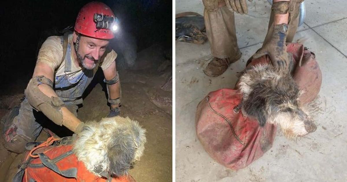 Missouri spelunkers RESCUE missing dog trapped in caves 500ft under the ground after 2 months