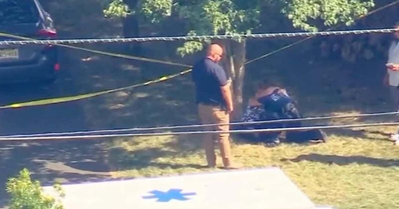 'It was gut-wrenching': Harrowing video shows mom collapsing and SCREAMING after finding daughter, 2, dead in hot car