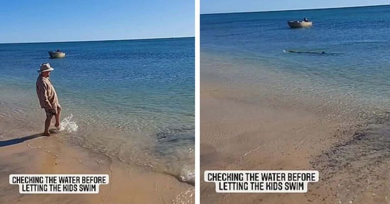 Dad-of-two walks into water to check if it's safe for his kids and discovers something lurking in the shallows