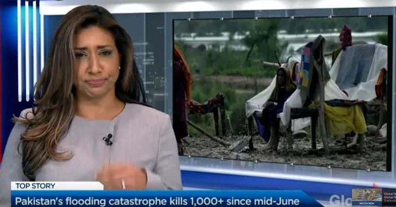 NO-FLY ZONE: Hilarious video shows news anchor accidentally swallowing fly live on TV without interrupting show