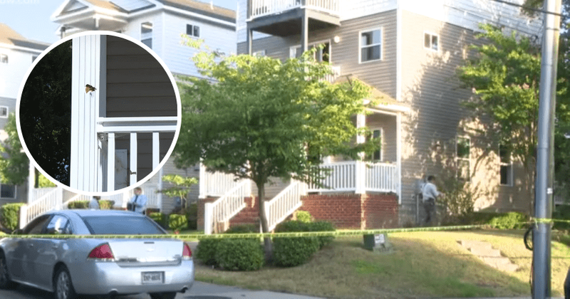 Virginia mass shooting: 2 killed and 5 injured after 'THIRTY' shots were fired at off-campus party