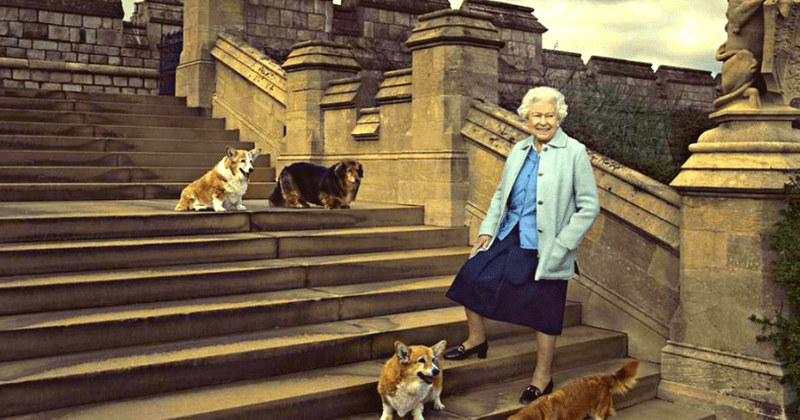 What happens to the Queen's beloved dogs now? Royal family and staff to take care of her best friends