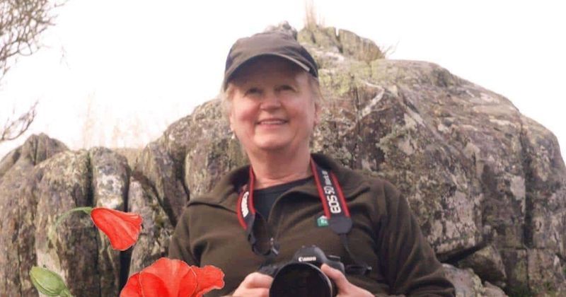 Woman sent family HAUNTING final photo hours before whale slammed into her boat killing five onboard