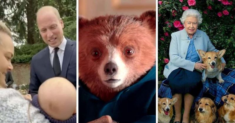 ‘The corgis won’t take that very well’: Prince William jokes about Paddington Bear’s popularity over Queen’s beloved pets
