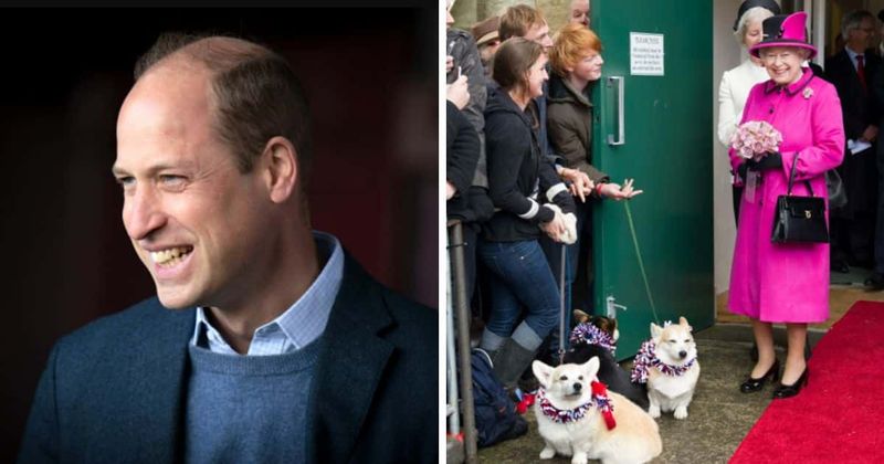 Prince William assures mourner that Queen Elizabeth II's corgis are in good hands and will be 'spoiled rotten'