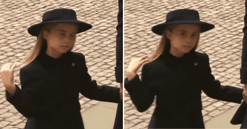 'Princess Charlotte of fabulousness': Internet in awe of seven-year-old royal's 'iconic' hair flip at Queen's funeral