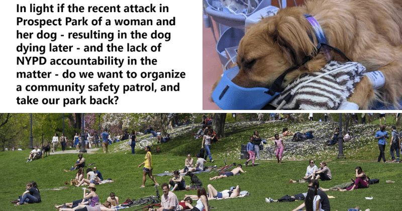 Park Slope Panthers: Woke NYC liberals start VIGILANTE group after homeless man killed dog