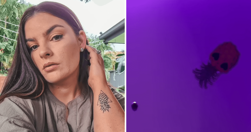 LOVE BOAT: Woman finds out the 'X-Rated' reason behind pineapple stickers on cabin doors during cruise