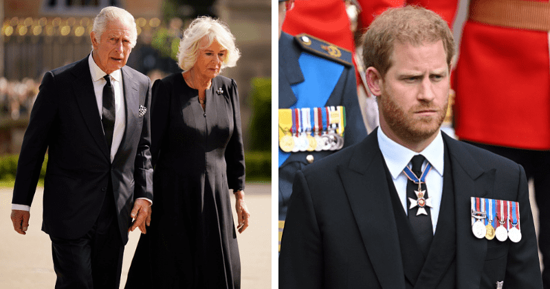 Camilla 'spat out tea' when Prince Harry suggested mediator to mend rift with King Charles, claims report