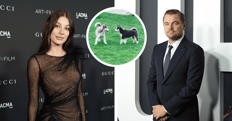 'Neither one is happy': Leonardo DiCaprio and Camila Morrone in dog custody battle after nasty breakup