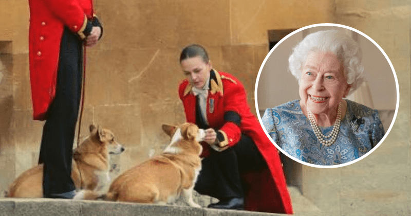 Muick and Sandy: Queen's beloved corgis remained 'with her in the room' even in her final hours