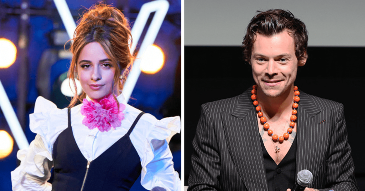 Does Camila Cabello have a crush on Harry Styles? Here's what motivated 'The Voice' coach to audition for 'X Factor'