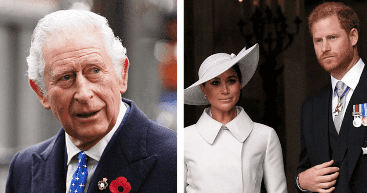 Prince Harry taken aback by ‘outpouring of love’ from public for King Charles and Queen Consort Camilla