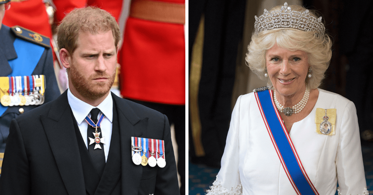 'Show us proof': Royal biographer slammed for saying Prince Harry was ‘nasty’ about Camilla