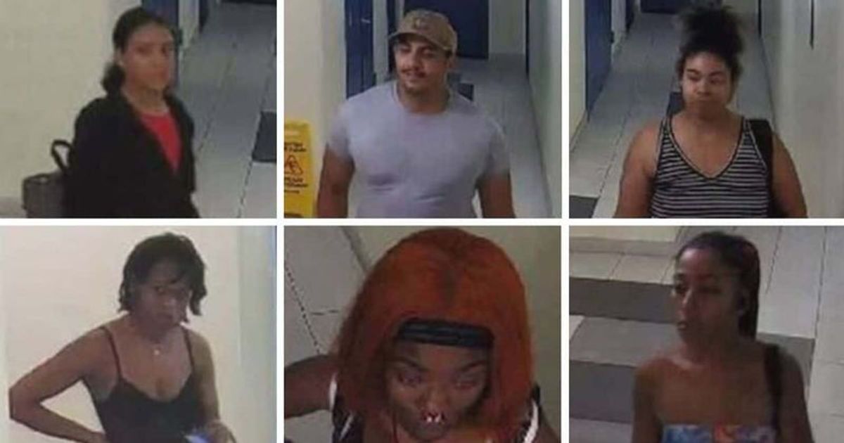 Dasia Johnson murder: NYPD search for six witnesses after woman's dismembered body is found in suitcase
