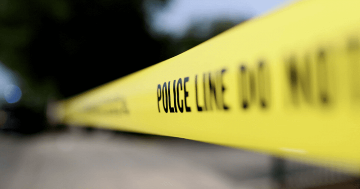 Teen girl stabbed and left bleeding on the street for FIVE HOURS before she is rescued by dog walker