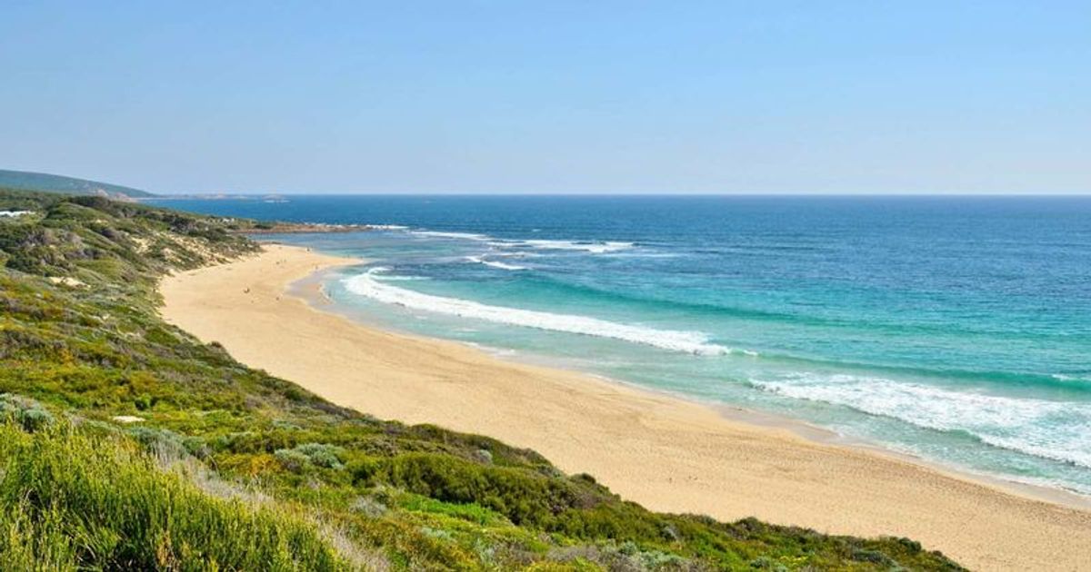 Dad with 'no real swimming experience' drowns at beach trying to save sons who appeared to be struggling