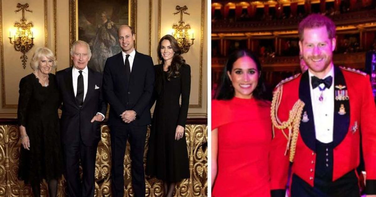 WON'T BE OUTDONE: Prince Harry and Meghan Markle release new photo just two days after royal portrait