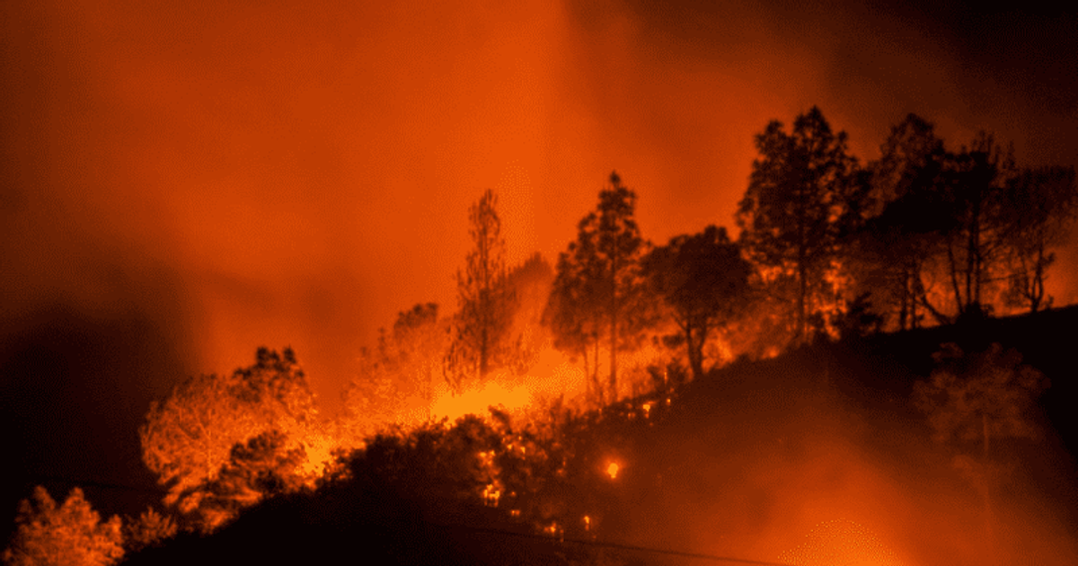 Volunteer firefighter, 59, dies from heart attack while battling massive forest fire in Nebraska