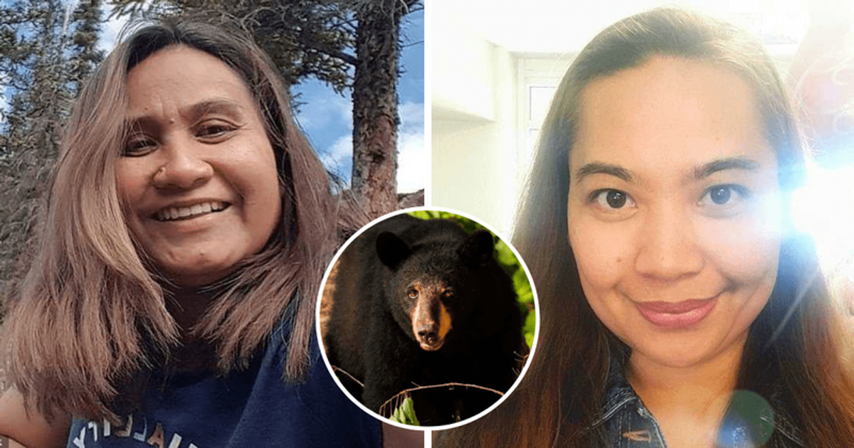 2 women in ICU after being savaged by black bear that guarded the victims ‘for its next meal’